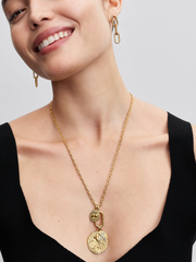 Lion Medallion Charm - 14k gold plating