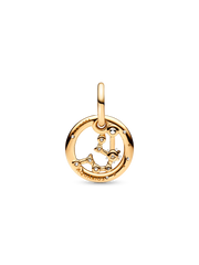 Aquarius Zodiac Dangle Charm - 14k gold plating