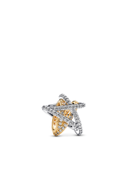 Sparkling Crossover Star Charm - Sterling silver, 14k gold plating