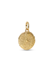 Lion Medallion Charm - 14k gold plating