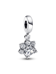 Sparkling Pet Paw Print Dangle Charm - Sterling silver