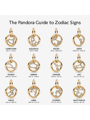 Pisces Zodiac Dangle Charm - 14k gold plating